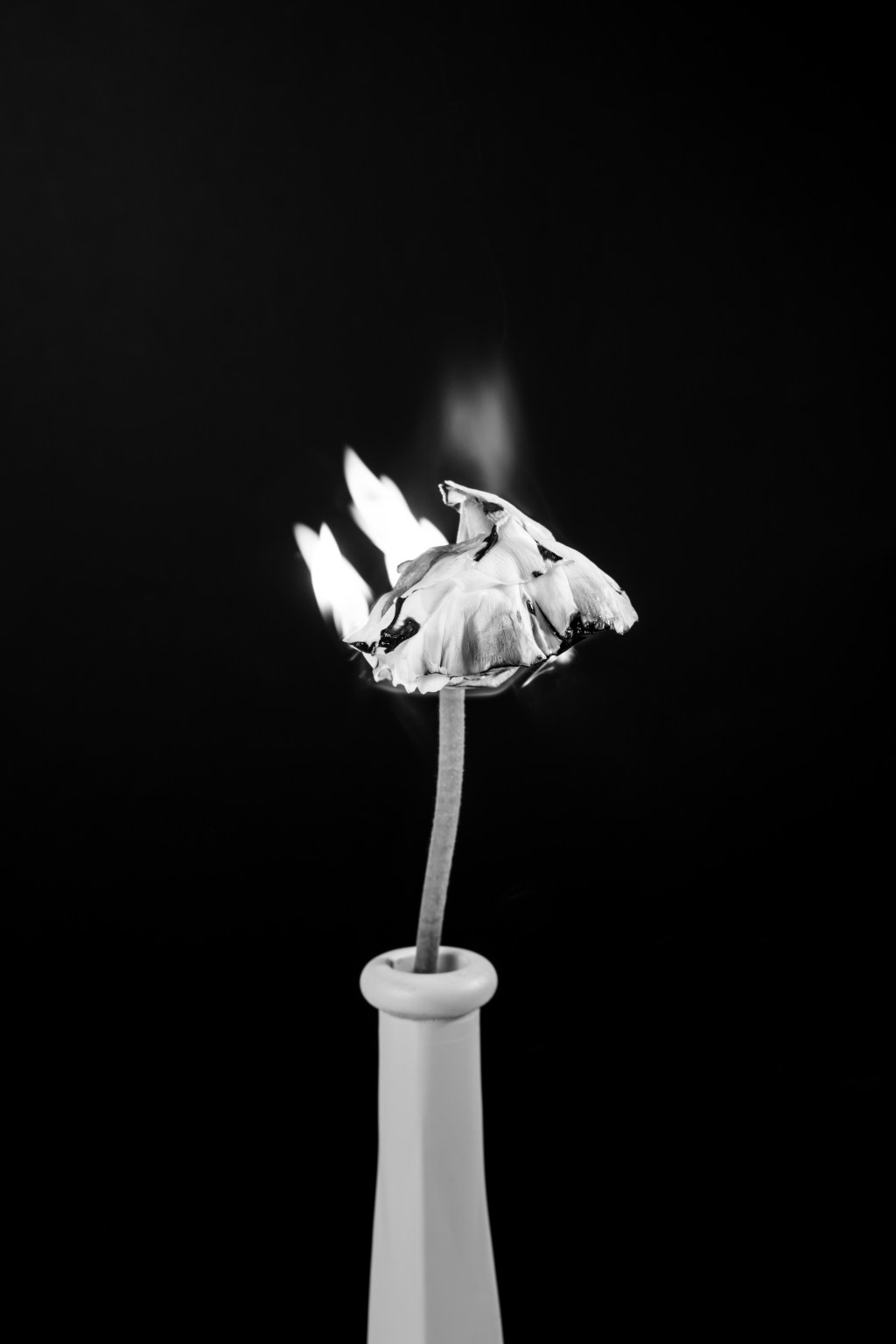 Momentum Over Motivation. Building Habits That Outlast&nbsp;Fatigue.